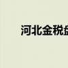 河北金税盘96087666（96087666）