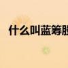 什么叫蓝筹股票和白马股（什么叫蓝筹股）