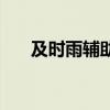 及时雨辅助官网（及时雨辅助免费版）