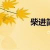 柴进简介200字（柴进简介）