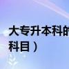 大专升本科的考试考的什么（大专升本科考试科目）