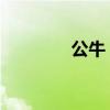 公牛 电器（公牛电器官网）