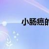 小肠癌的早期症状及表现（小肠）