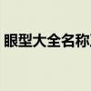 眼型大全名称及图片（名狗名称及图片大全）