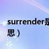 surrender是什么品牌（surrender是什么意思）