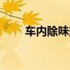车内除味剂哪个品牌好(车内除味) 车内除味剂哪个品牌好(车内除味)