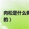 肉松是什么做的为何如此便宜（肉松是什么做的）