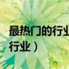 最热门的行业最赚钱的行业是哪些（最热门的行业）
