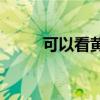 可以看黄的页码（可以看黄的yy）