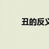 丑的反义词怎么写（丑的反义词）