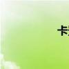 卡登仕（卡登仕贴膜）