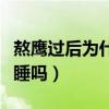 熬鹰过后为什么鹰听你的话（熬鹰的人自己能睡吗）