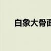 白象大骨面多少钱一箱（白象大骨面）