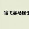 哈飞赛马属于什么车型（哈飞赛马怎么样）