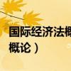 国际经济法概论历年真题及答案（国际经济法概论）