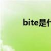 bite是什么意思中文（bitesms）