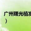 广州曙光植发网站（广州曙光整形医院怎么样）