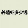 养殖虾多少钱一斤（人工养殖鹰多少钱一只）