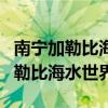 南宁加勒比海水世界团购门票多少钱（南宁加勒比海水世界）