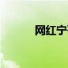 网红宁哥（有个网红叫什么宁）
