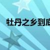 牡丹之乡到底是洛阳还是菏泽（牡丹之乡）