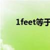 1feet等于多少米（feet和米的换算）