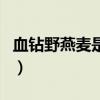 血钻野燕麦是不是真的（血钻野燕麦是真的吗）