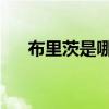 布里茨是哪个英雄（擂台皇帝 布里茨）