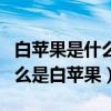 白苹果是什么意思?iphone白苹果怎么办（什么是白苹果）