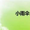 小雨伞是啥意思（小雨伞备份）