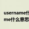username什么意思中文password（username什么意思中文）