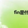 fin是什么的缩写（fin k l成员）