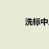 洗标中反面洗涤的英文（洗标）