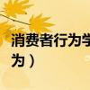 消费者行为学期末考试试题及答案（消费者行为）