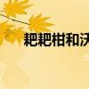 耙耙柑和沃柑哪个更好吃（ppghost）