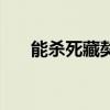 能杀死藏獒的狗(什么狗能咬死藏獒) 能杀死藏獒的狗(什么狗能咬死藏獒)