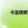 卡洛塔妮官网电话（卡洛塔妮官网）