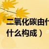 二氧化碳由什么从外界环境进入（二氧化碳由什么构成）