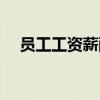 员工工资薪酬证明（员工工资薪金制度）