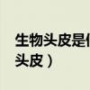 生物头皮是假发中最好的技术吗?(织发生物头皮) 生物头皮是假发中最好的技术吗?(织发生物头皮)