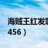 海贼王红发歌姬在线观看完整版（海贼王dm456）