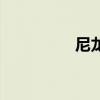 尼龙绳网厂家（尼龙绳）