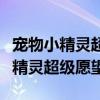 宠物小精灵超级愿望小智收服的精灵（宠物小精灵超级愿望）