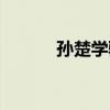 孙楚学驴鸣翻译（孙楚学驴鸣）