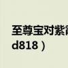 至尊宝对紫霞说的最经典的一句话（至尊宝td818）