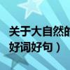 关于大自然的好词好句手抄报（关于大自然的好词好句）