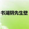 书湖阴先生壁 带拼音（书湖阴先生壁带拼音）