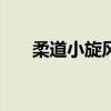 柔道小旋风（小旋风aspwebserver）