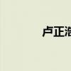 卢正浩茶叶（卢正浩旗舰店）