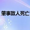 肇事致人死亡民事赔偿标准（民事赔偿标准）